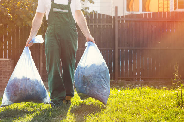 Best Attic Cleanout Services  in Lorain, OH
